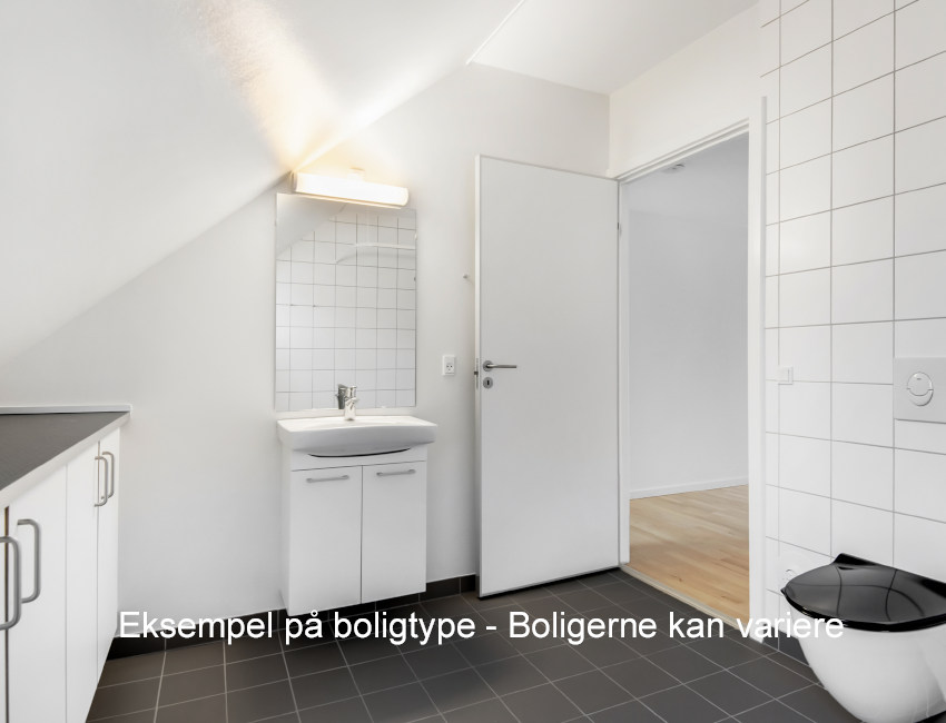 Lille Tingbakke
