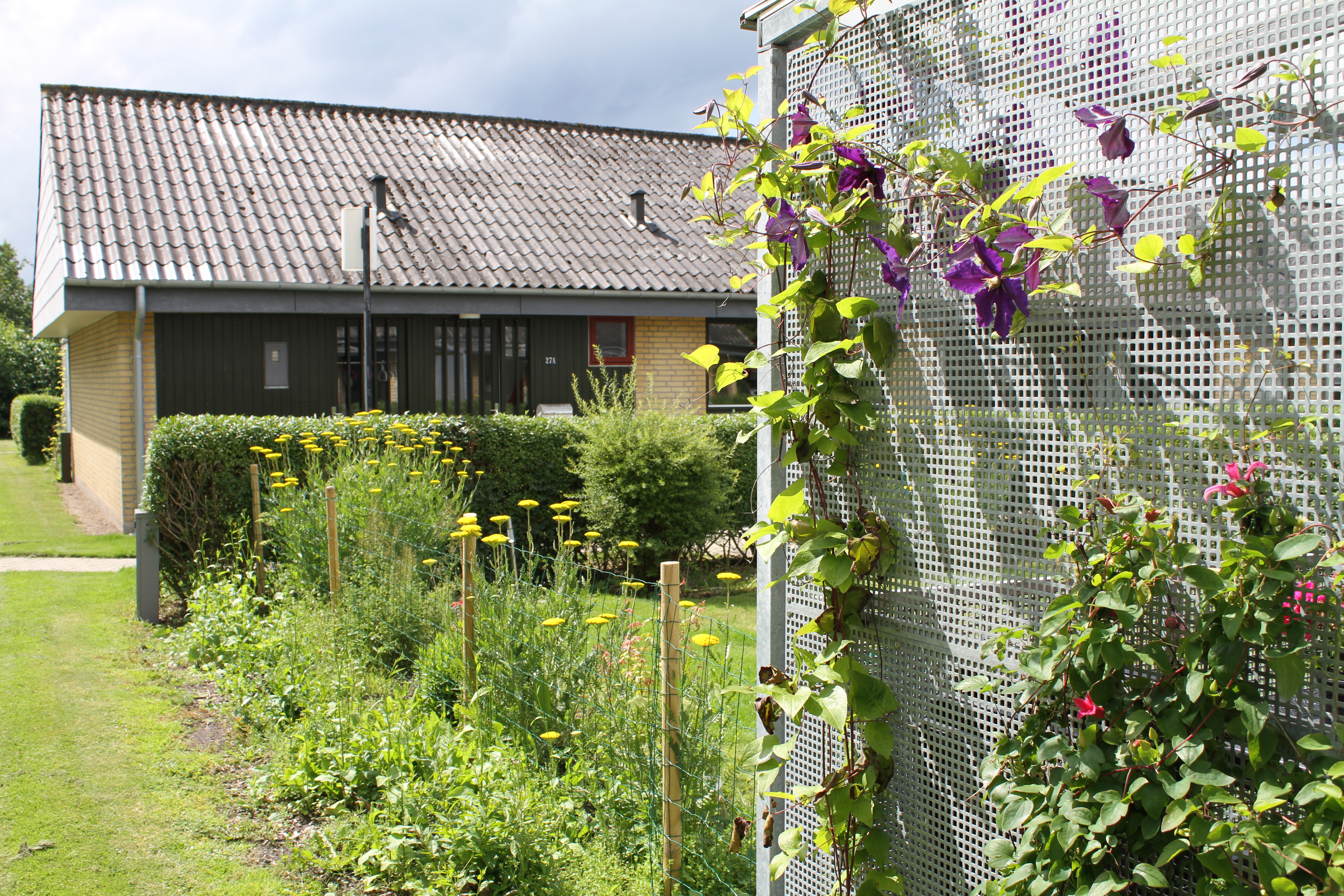 3-room house / townhouse in Brovst